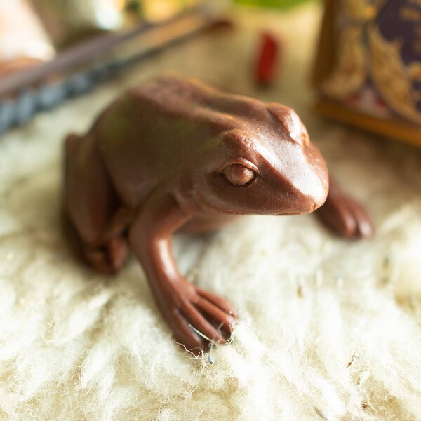 Chocolate Frog Etsy