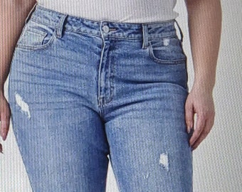Medium Wash Distressed Plus Size Jeans