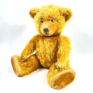 May include: A vintage golden-yellow teddy bear with a plush, textured fur. The bear has a dark brown nose, small black eyes, and tan-colored paws. It is sitting upright with its arms and legs extended, showcasing its classic design.
