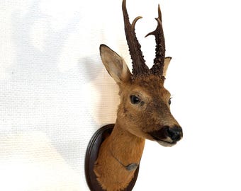 Wall Art & Paintings