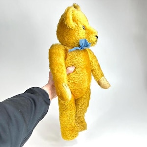 May include: A vintage golden yellow teddy bear with a blue ribbon around its neck. The plush toy has a classic design with jointed limbs and a stitched nose. The bear is being held by a person.