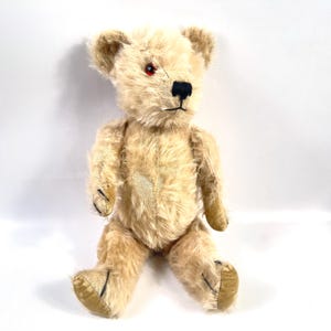 Pedigree Vintage Teddy Bear - Etsy