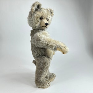 Rare antique comédie musicale oui/non schuco ours en peluche de 21 po. ours allemand vintage des années 30 image 2