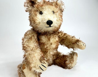 Rare ours en peluche jopi antique à pointe brune 15,5 pouces - ours allemand vintage du début des années 30