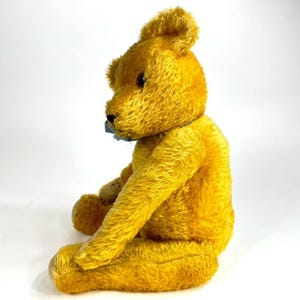 May include: A vintage golden-yellow teddy bear with a blue ribbon around its neck. The bear is sitting with its arms and legs extended, and its fur is slightly worn. The bear has brown eyes and a black nose. The teddy bear is a classic toy.
