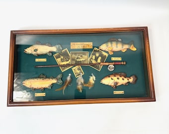 Fly Fishing Diorama Shadow Box: Vintage Fish Models & Lures