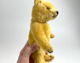 Vintage steiff oso de peluche original - oso antiguo alemán de 8" alrededor de 1950