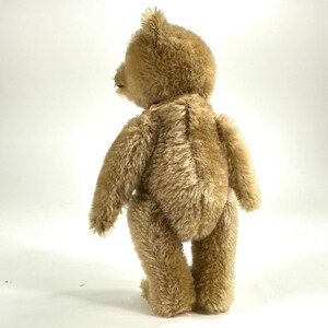 Lot 283 - A 1950s Steiff teddy bear Lot 283 - A 1950s Steiff teddy bear