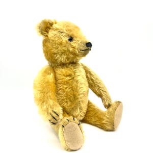 1930 steiff bear - Etsy 日本