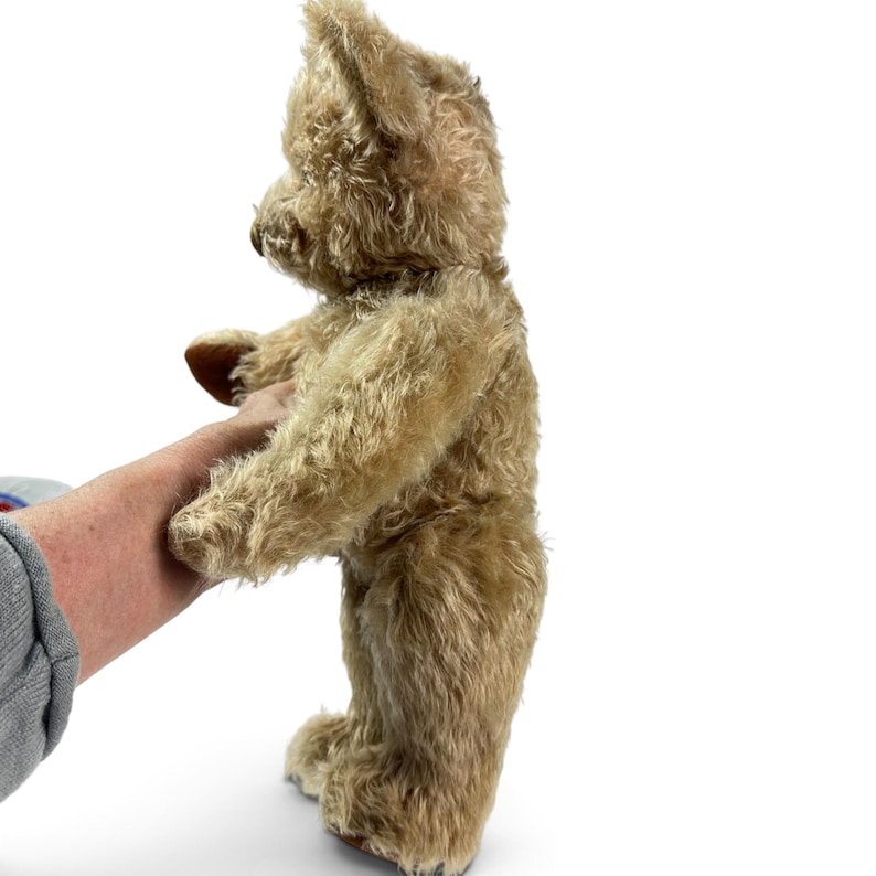 K&ouml;nnte beinhalten: Ein hellbrauner Teddyb&auml;r in Seitenansicht mit strukturiertem, zotteligem Fell. Das Stofftier hat einen runden Kopf, kleine Ohren und eine sichtbare Schnauze. Das Pl&uuml;schtier ist in einer stehenden Position mit nach vorne gestreckten Armen abgebildet.