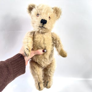 Old Pedigree Bear - Etsy