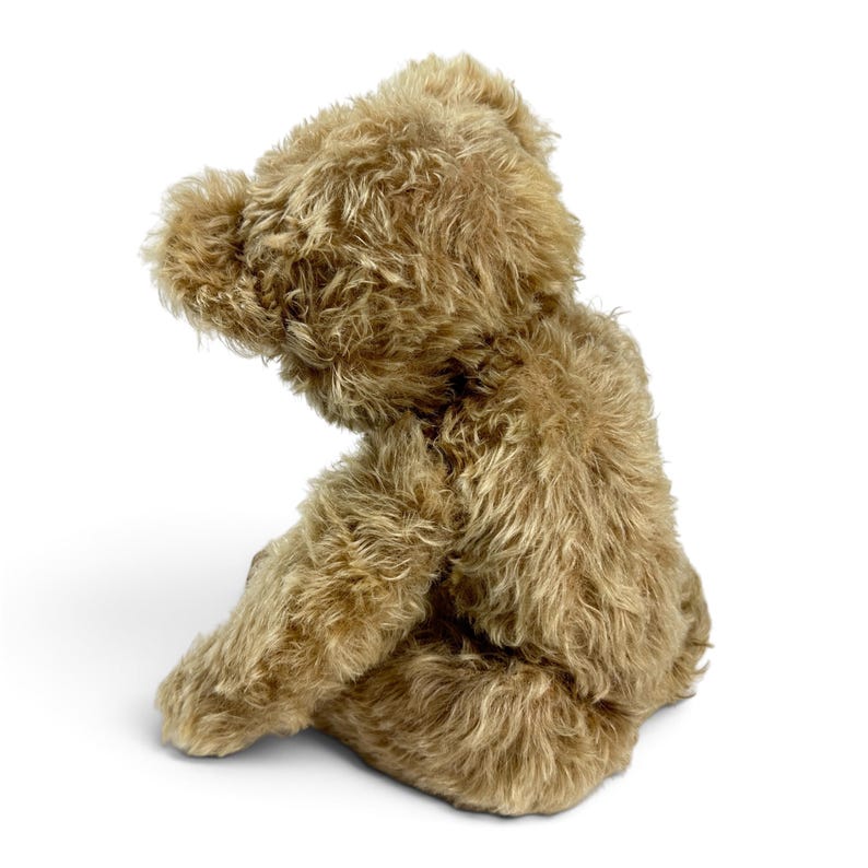 K&ouml;nnte beinhalten: Ein Pl&uuml;schteddyb&auml;r mit zotteligem, hellbraunem Fell. Der B&auml;r ist im Seitenprofil dargestellt und sitzt mit leicht gesenktem Kopf. Die Fellstruktur ist lang und dicht und bedeckt den gesamten K&ouml;rper des Spielzeugs.