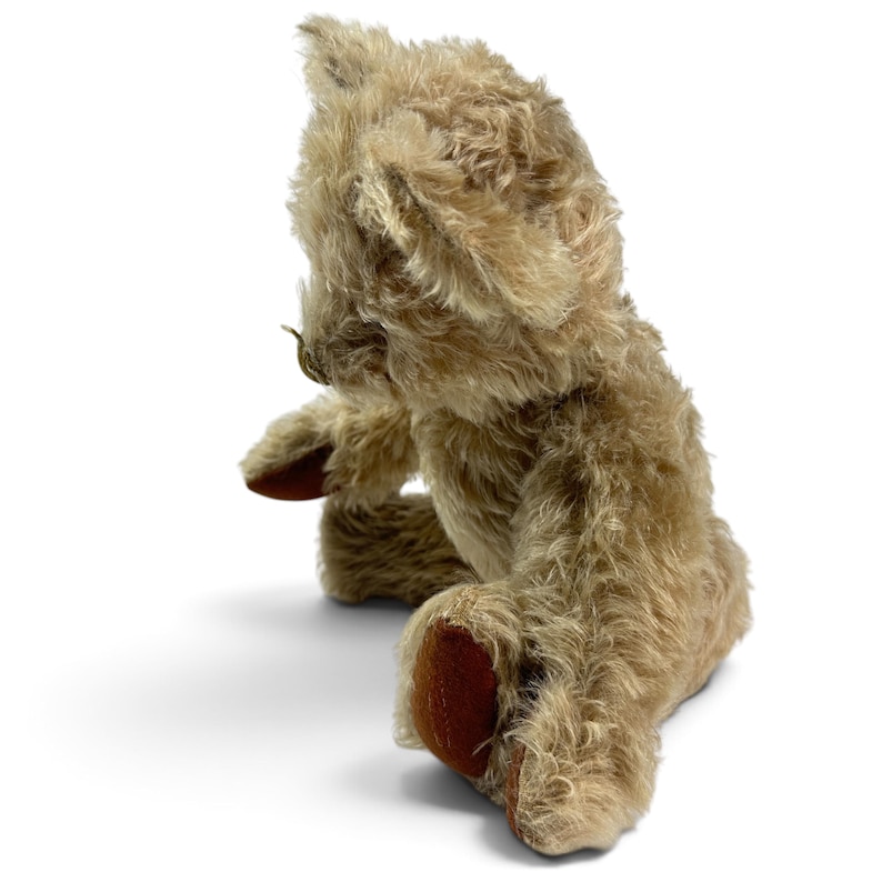 K&ouml;nnte beinhalten: Ein hellbrauner Teddyb&auml;r mit langem, zotteligem Fell und dunkelbraunem, filzartigem Material an den Fu&szlig;sohlen und Handfl&auml;chen. Der B&auml;r ist in sitzender Position von der Seite zu sehen und hat spitze Ohren sowie eine kleine, dunkle Nase.