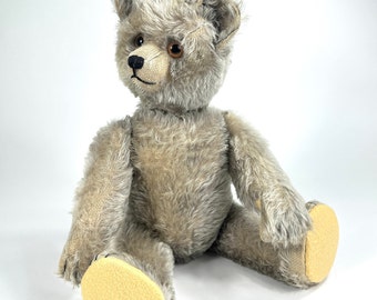 Rare antique musical Yes/No Schuco teddy bear 21"- 1930s vintage German bear