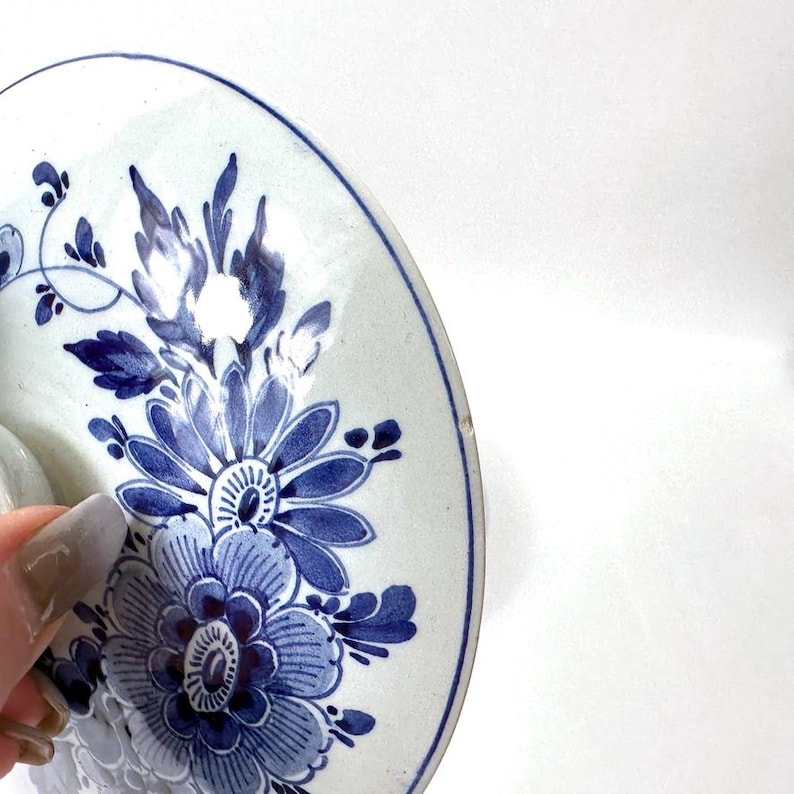 May include: A fragment of a white ceramic plate with a blue floral pattern. The design includes large, stylised flowers and leaves. The plate has a blue rim and is partially visible, with a hand holding the edge.