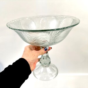 Compostiera in vetro pressato, centrotavola per frutta con piedistallo, trasparente (23 cm) immagine 2