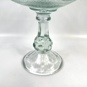 Compostiera in vetro pressato, centrotavola per frutta con piedistallo, trasparente (23 cm) immagine 7