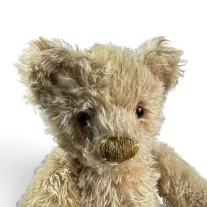 K&ouml;nnte beinhalten: Ein beigefarbener Teddyb&auml;r mit langem, zotteligem Fell, dunkelbraunen Glasaugen und einer gestickten, dunkelbraunen Nase. Der B&auml;r hat spitze Ohren und ein strukturiertes, flauschiges Aussehen, wobei Kopf und Oberk&ouml;rper vor wei&szlig;em Hintergrund.
