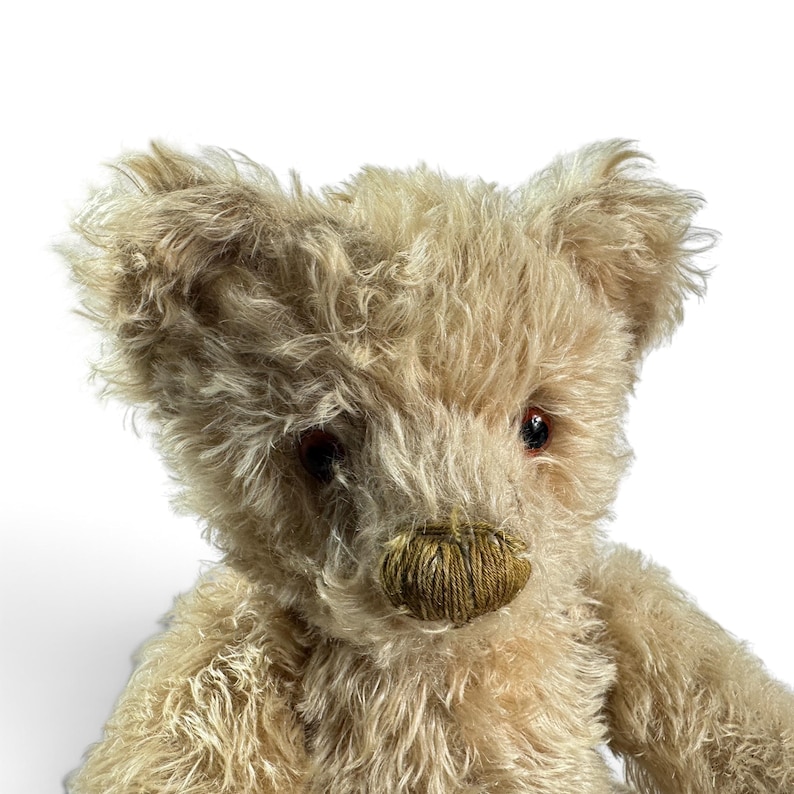 K&ouml;nnte beinhalten: Ein beigefarbener Teddyb&auml;r mit langem, zotteligem Fell, dunkelbraunen Glasaugen und einer gestickten, dunkelbraunen Nase. Der B&auml;r hat spitze Ohren und ein strukturiertes, flauschiges Aussehen, wobei Kopf und Oberk&ouml;rper vor wei&szlig;em Hintergrund.
