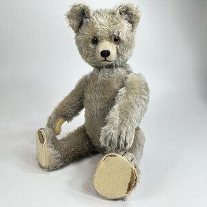 Rare antique comédie musicale oui/non schuco ours en peluche de 21 po. ours allemand vintage des années 30 image 1