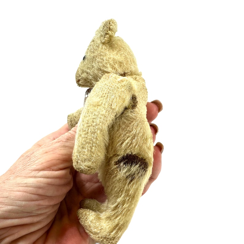 May include: A small, beige, textured teddy bear with a dark brown patch on its side. The bear is shown in profile, featuring a rounded ear, a small dark eye, and a soft, fuzzy surface texture. The bear is held in a hand against a white background.