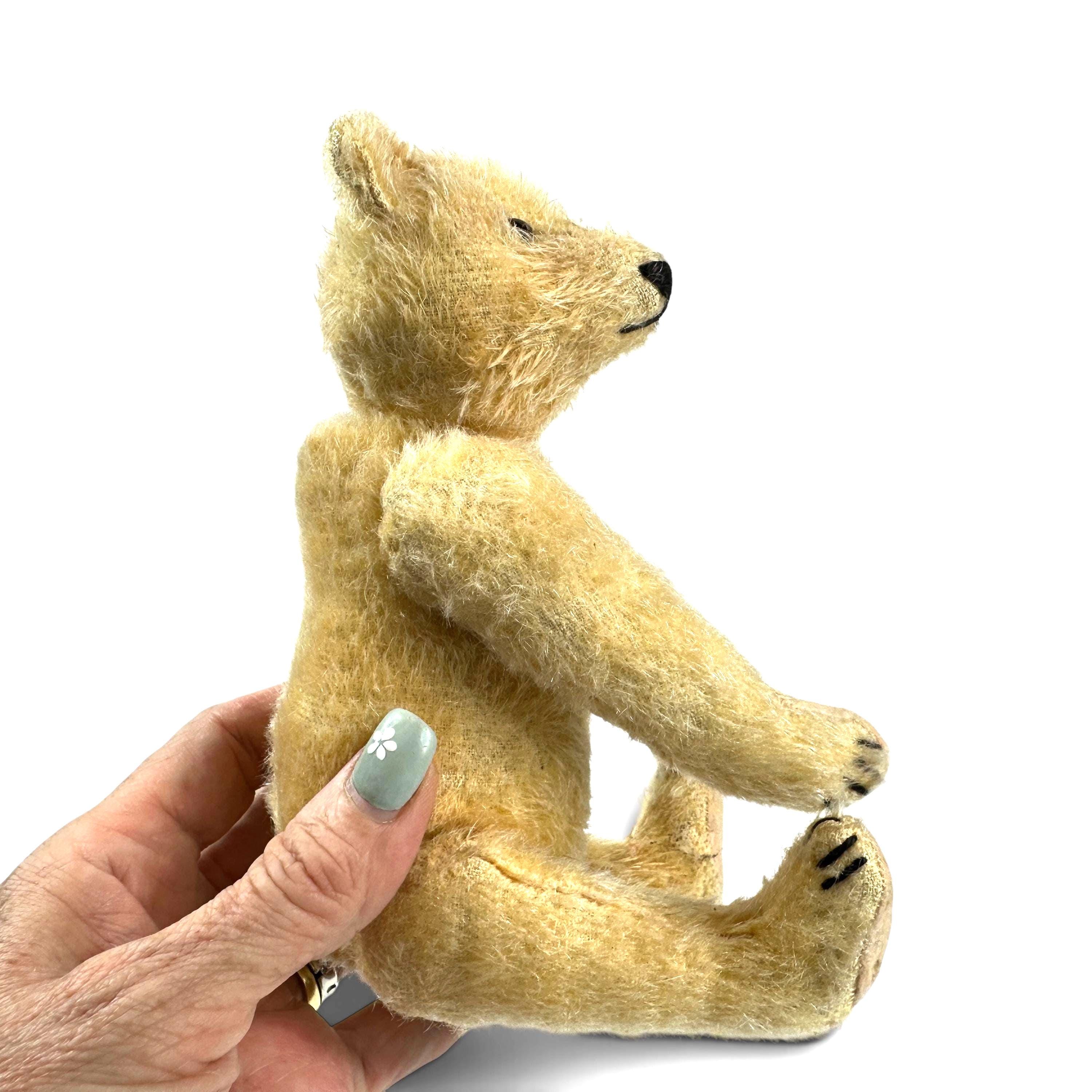 Antique steiff bear - Etsy 日本