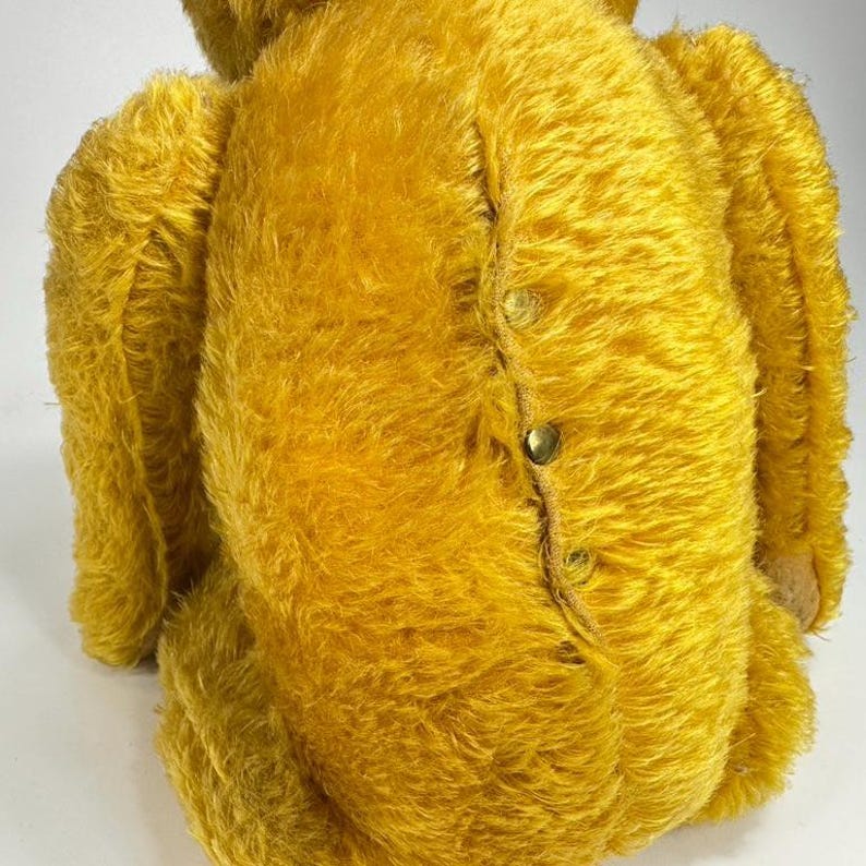 May include: Close-up of a vintage golden yellow teddy bear. The bear's fur is a soft, textured material. The back of the bear is visible, showing a seam with several brass-colored button closures. The bear's ears and limbs are also visible.