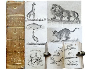 1802 Illustrated Dictionary of Natural History, Rare First Edition, Zoology, Amazing Gift for a Bookworm or a History Buff