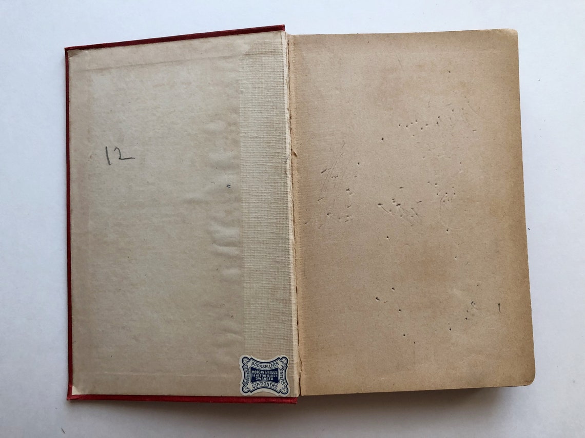 Frances E Willard Suffragist Temperance 19th Amendment Etsy