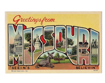 Greetings from Missouri Seein's Believin' Mule Donkey Vintage Linen Postcard with Large Letters 1940s Travel Road Trip Souvenir