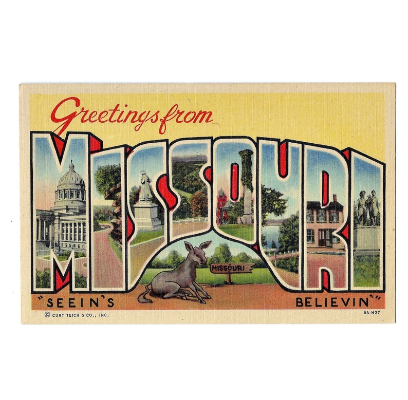 Greetings from Missouri Seein's Believin' Mule Donkey Vintage Linen Postcard with Large Letters 1940s Travel Road Trip Souvenir image 1