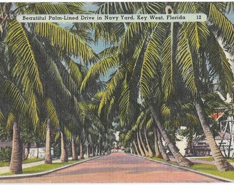 Postal de lino de los años 40 con palmeras del Navy Yard de Key West, Florida