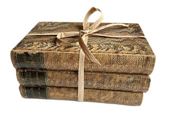 Distressed Book Bundle - Antique Books for Staging, Library Décor, Junk Journals, Farm House or Shabby Decorating from Bleak House Bookshop