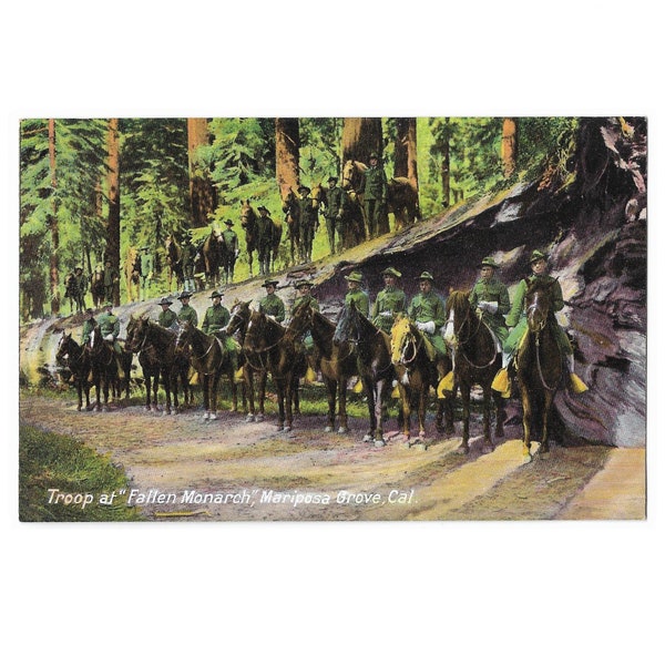 US Cavalry Troop on Horseback at Mariposa Grove California "Fallen Monarch" Giant Redwood Tree - Early 1900s Postcard