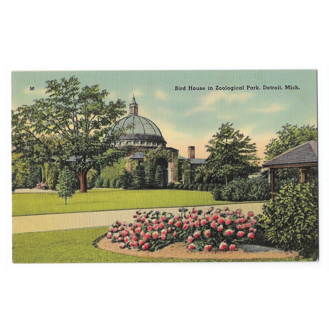 Detroit Zoo Bird House, Unused 1940s Linen Postcard - Etsy
