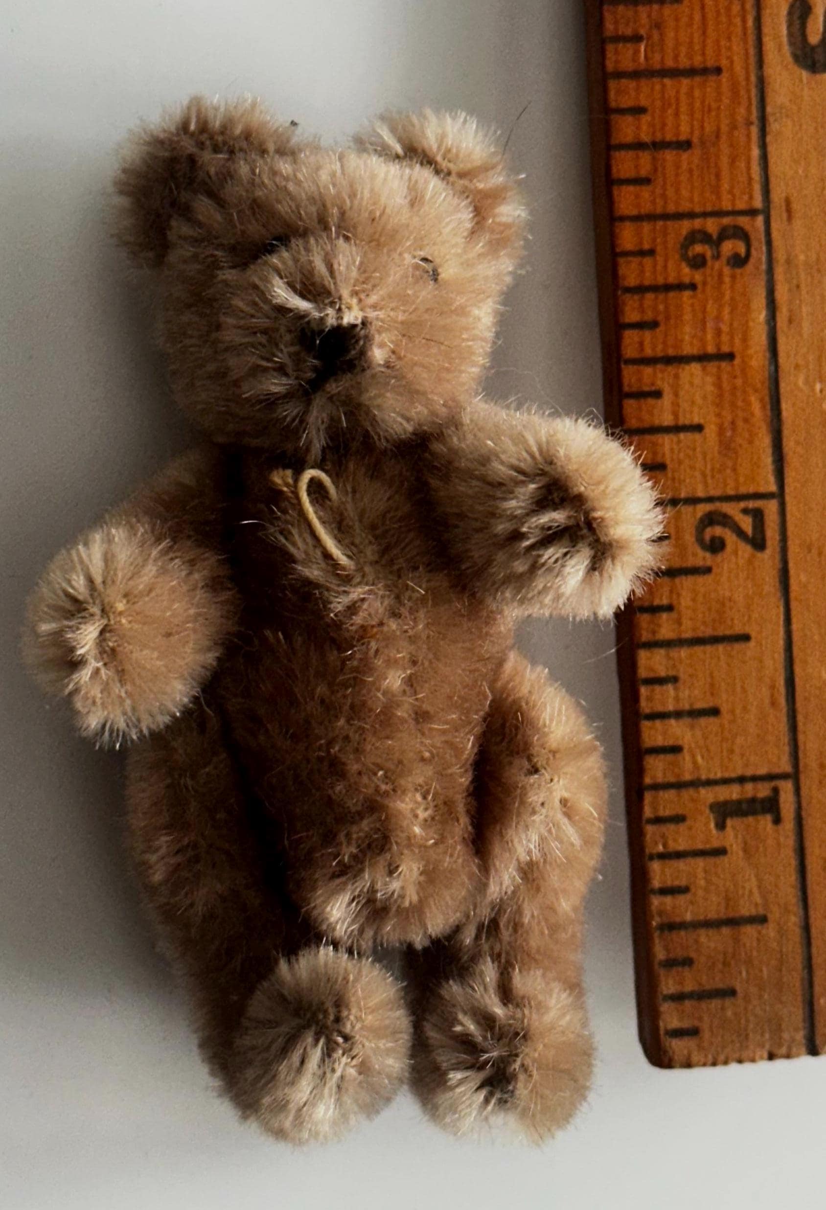 Steiff teddy bears 1950 1950s - Etsy 日本