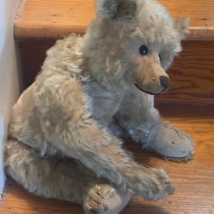 Bobby bear steiff - Etsy 日本