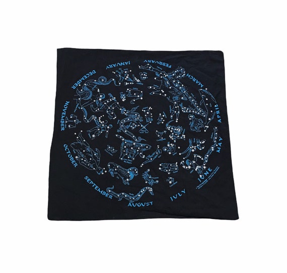 1980s ASTROLOGICAL Signs Zodiac Vintage Nature Facts … Gem