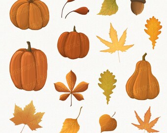 Fall Clipart Set, fall clip art images, fall vector, autumn clipart, autumn digital art, commercial use with Instant Download