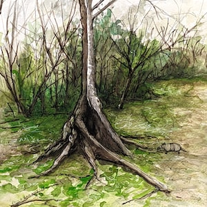 Original handpainted watercolor painting by Erica Harney, Louisiana bayou watercolor painting, winter landscape painting, painting of tree