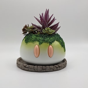 Op de afbeelding: Een witte keramische pot met een groene mos bovenkant en twee perzikkleurige ogen. De pot is gevuld met verschillende vetplanten, waaronder een vetplant met paarse bladeren.