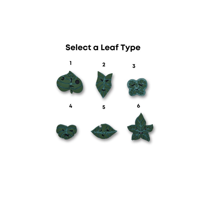 May include: Six different leaf shapes are shown in a grid layout. Each leaf is a dark green color with a light blue outline. The numbers 1 through 6 are above each leaf.
