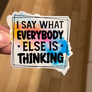I Say What Everybody Else Is Thinking Sarcastic Sticker Decal