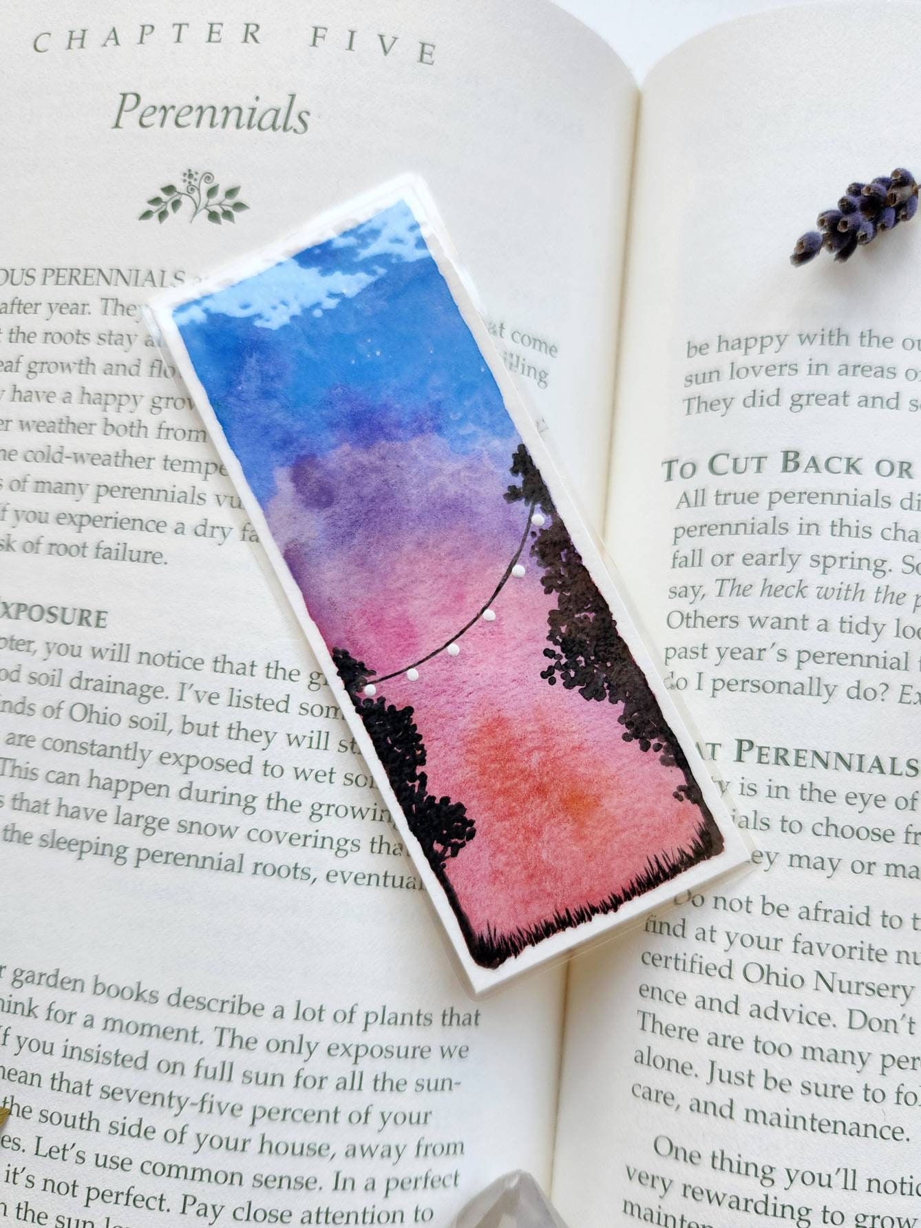 Where bookish things happen  Diy bookmarks, Watercolor bookmarks,  Bookmarks handmade