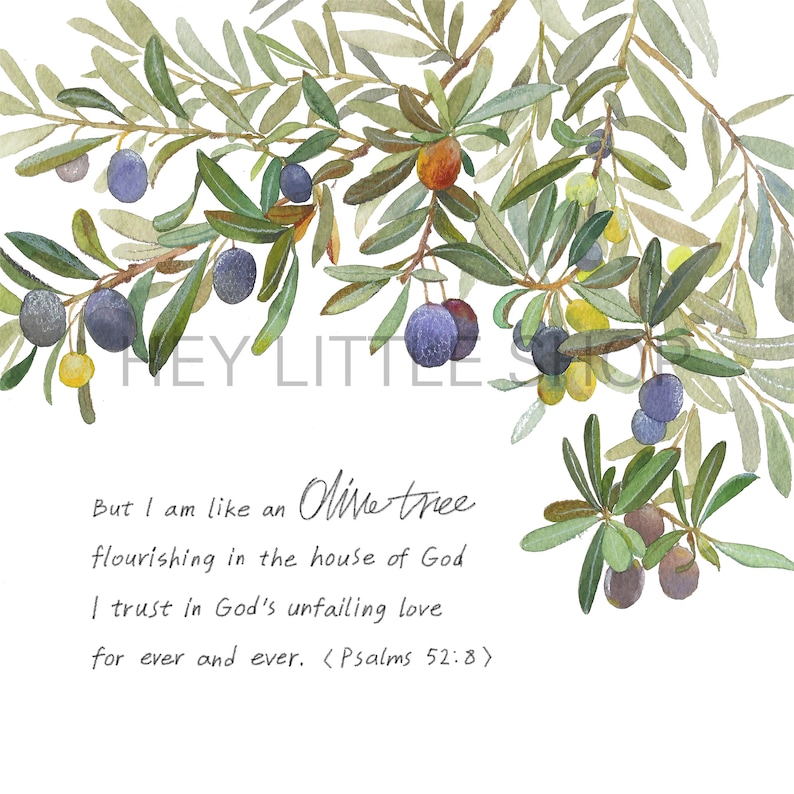 Olive Tree, Printable Bible Verseniv, Psalm 528, Watercolor Print