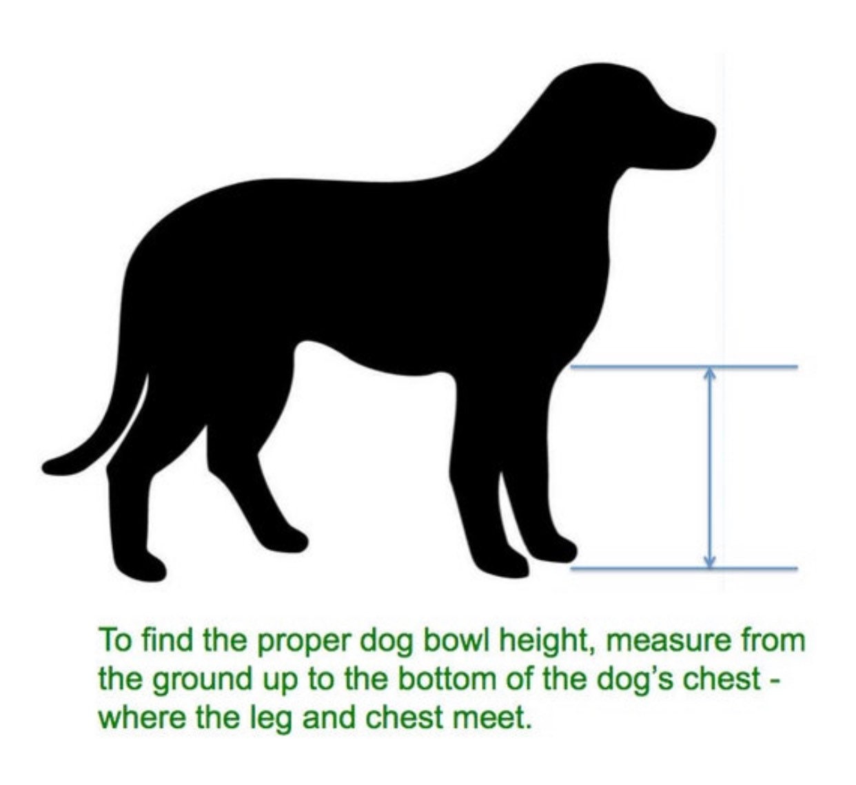 What Height Should My Dogs Bowl Be