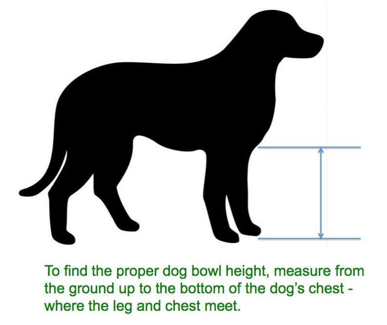 dog bowl stand height