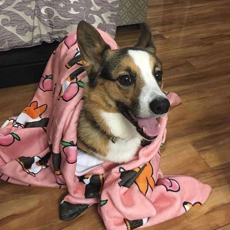 Made to Order Welsh Pembroke Corgi Blanket Small Med or Large Ultra Plush Soft Throw Blanket Pink Tricolor Corgi Sploot Fleece Blanket