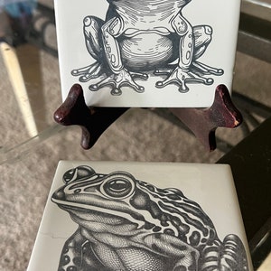 May include: Two black and white ceramic tiles with detailed drawings of frogs. The top tile features a frog with large eyes and a textured skin. The bottom tile features a frog with a smooth skin and a striped pattern.