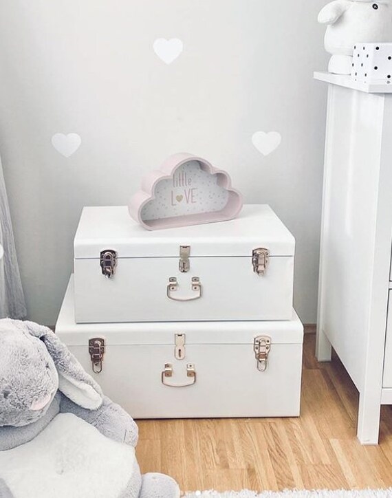 White Storage Case White Storage Trunk 